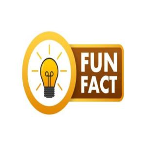 Fun Facts Resource for SS1 Digital Tech Test 2 2026-04